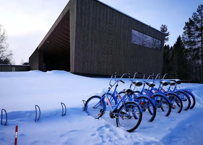 Torni-maenttae 公寓 Mänttä