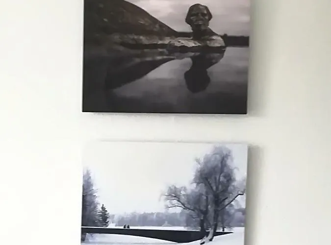 公寓 Torni-maenttae Mänttä